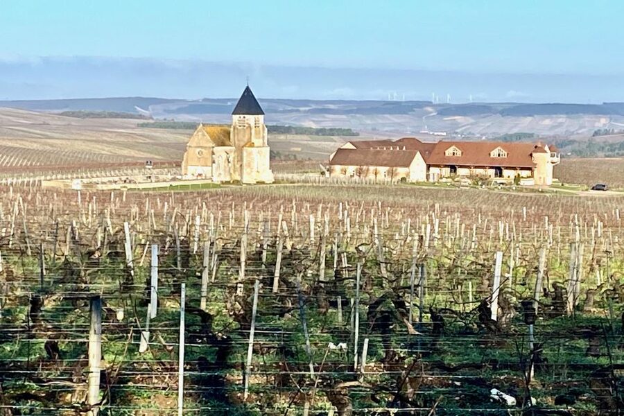 15 Burgundy Wines Chateau Pommard, Chablis Small-Group - A big Burgundy day trip, built around comparisons
