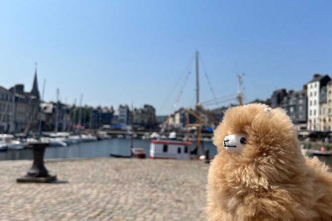 2-Days Customisable Private Guided Tour in Normandy & Brittany - How the private car and WiFi make a real difference
