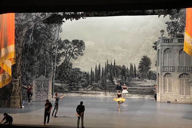 2 Hour Private Opera Garnier Guided Tour - Divers Galeries, Salons, and the Grand Foyer Payoff
