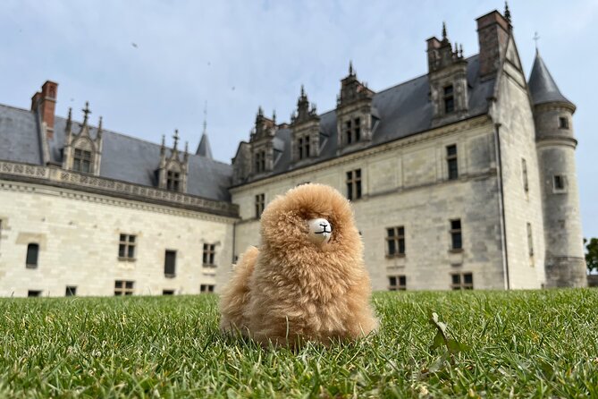 3 Loire Valley Castles and Wine Tasting Private Guided Tour - Château de Chenonceau: the ladies’ castle and the best kind of afternoon pacing