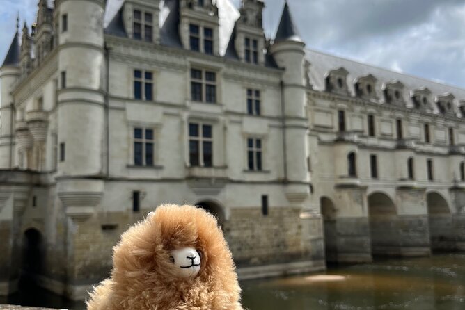 3 Loire Valley Castles and Wine Tasting Private Guided Tour - Price and value: what $1,425.93 per group gets you