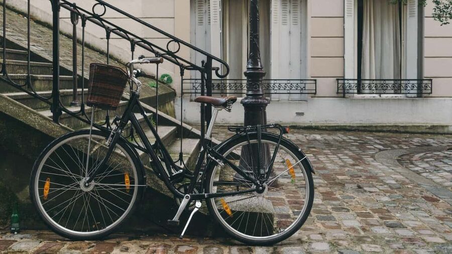 Best of Paris: Private Walking Tour with Local - Meeting at Notre-Dame, Then Getting Your Bearings Fast