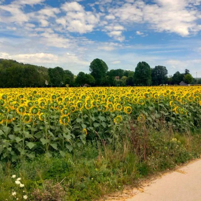 Bike tour from Vernon to Giverny with local guide - Bike Rental and Ticket Costs: How This Tour Really Prices Out