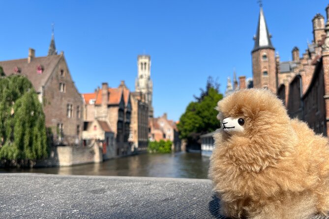 Bruges & Ghent Private tour from Paris with Tastings - Key points to know before you book