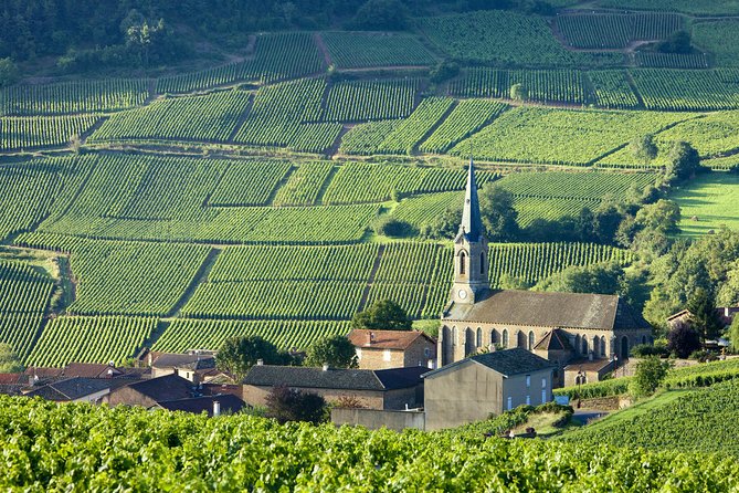 Burgundy Wine Tasting Small-Group Tour in Chablis from Paris - Paris pickup at 7:00, then Burgundy by air-conditioned minivan
