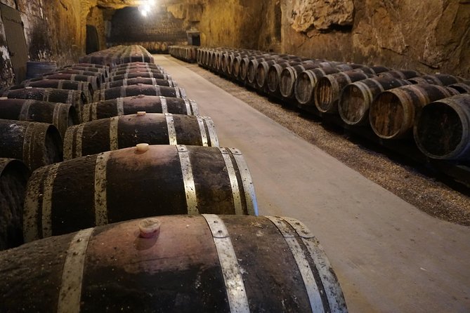 Burgundy Wine Tasting Small-Group Tour in Chablis from Paris - Les Caves Bailly Lapierre sparkling tastings in the caves: the fun stop
