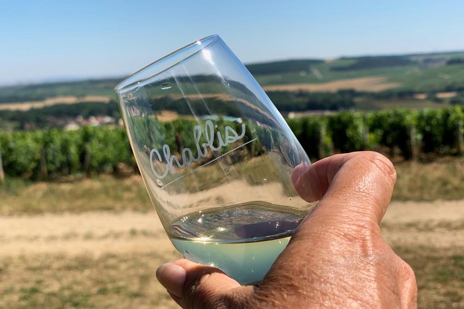 Burgundy Wine Tasting Small-Group Tour in Chablis from Paris - Price and value around $284: what you’re actually buying