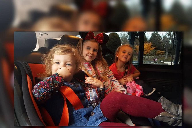 CDG - Euro Disney One Way Private Shuttle Transfer - Key things that matter on this CDG to Disneyland shuttle