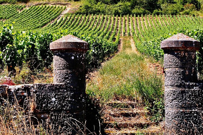 Chablis 20 Exquisite Wines Tasting Trip in Small-Group from Paris - Chablis Village Time, plus an Optional Second Tasting Moment