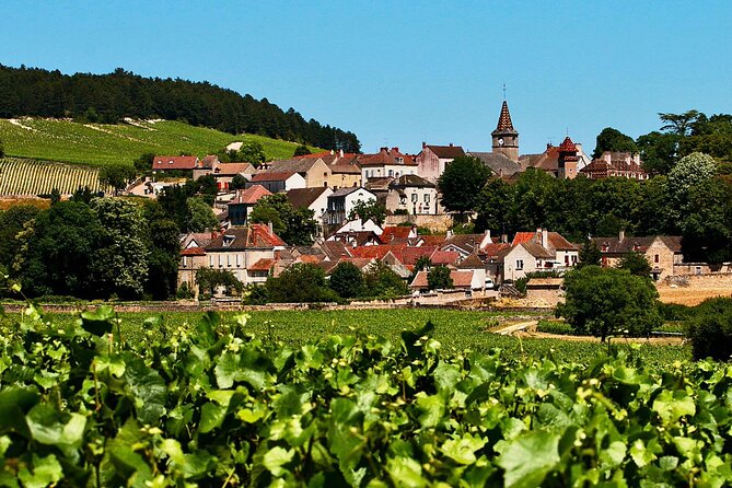 Chablis 20 Exquisite Wines Tasting Trip in Small-Group from Paris - Lunch in Chablis Village: You Get Time, You Pay for the Meal