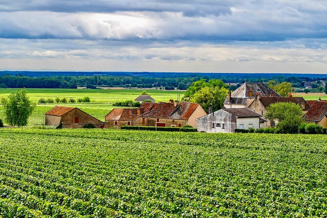 Chablis 20 Exquisite Wines Tasting Trip in Small-Group from Paris - La Chablisienne or Domaine Baptiste: The Final 5-Wine Finish