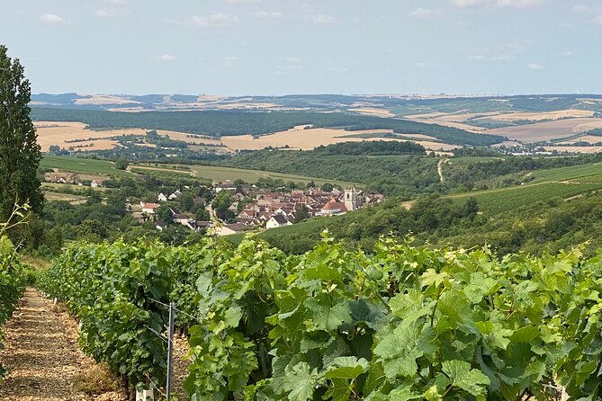 Chablis and Burgundy Wine Tour Run by Sommelier with Lunch - Who this tour fits best (and who might want a different plan)