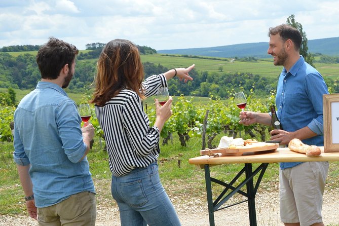 Chablis and Burgundy Wine Tour Run by Sommelier with Lunch - Stop 1 in Chablis vineyards: labels, terroir, and monastic history