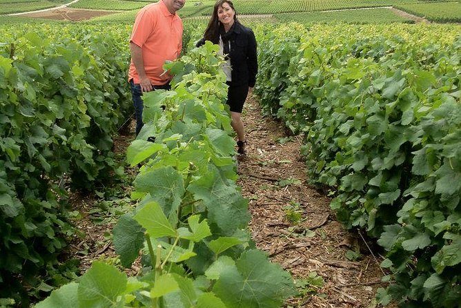 Champagne Area Small-Group Tour including a Top Champagne house & Family Winery - From Paris at 7:30 to Epernay, the day has a steady pace