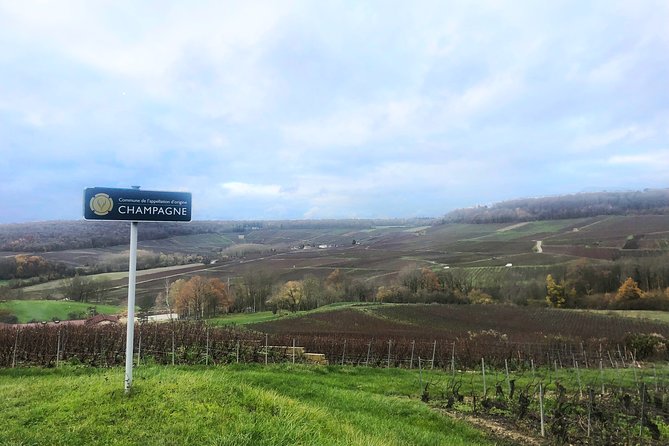 Champagne Area Small-Group Tour including a Top Champagne house & Family Winery - The family estate stop at Roger-Constant Lemaire: four tastings with a different vibe