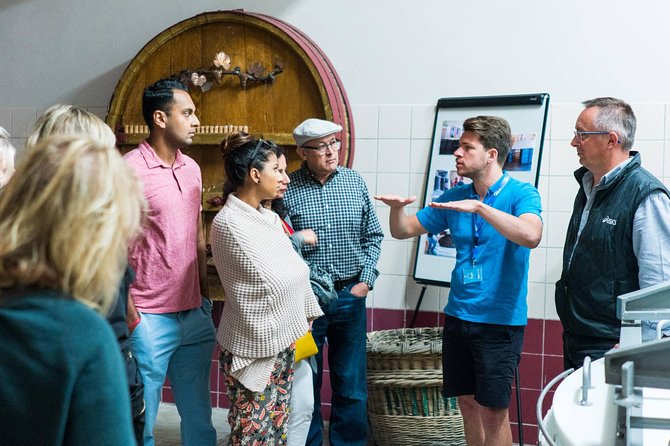 Champagne Day Trip with 6 Tastings, Reims and Winery from Paris - Champagne DOMI With Stéphane: Presses, Cellars, and 3 to 4 Tastings