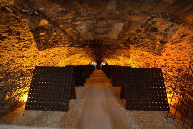 Champagne & Loire Valley Small Group Double Wine Day Tours - Who This Tour Suits Best (and Who Might Prefer Different Plans)