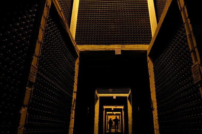 Champagne Private VIP Wine Day Trip with Michelin Lunch - Door-to-Door VIP Comfort, Then Real Champagne Education