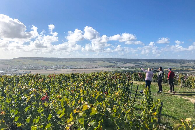 Champagne Private VIP Wine Day Trip with Michelin Lunch - Hautvillers and Dom Pérignon, When the Timing Fits