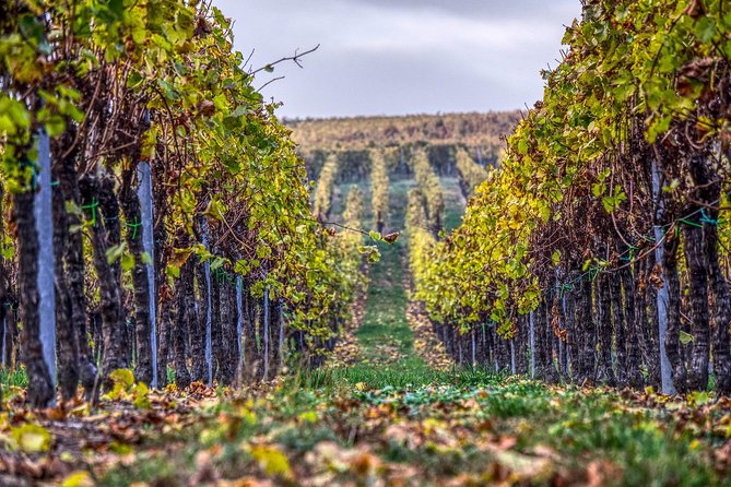 Champagne Private VIP Wine Day Trip with Michelin Lunch - Epernay Boutique Winery and Rare Tastings