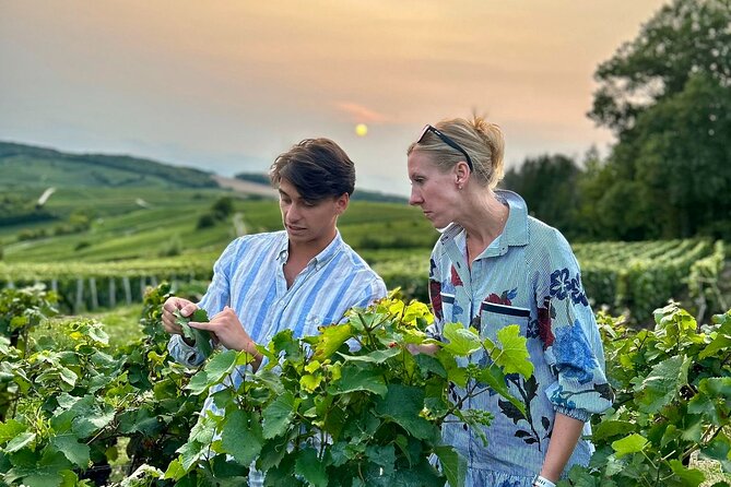 Champagne Private Wine Day Trip with Lunch and Wine Tastings - Key highlights worth planning for
