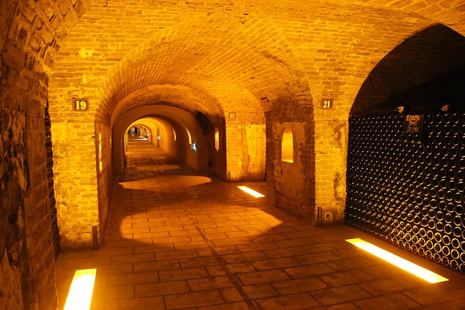 Champagne Private Wine Day Trip with Lunch and Wine Tastings - Private Champagne day from Paris, minus the hassle