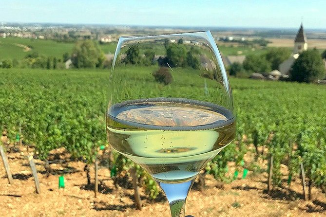 Champagne Private Wine Day Trip with Lunch and Wine Tastings - Scenic breaks in Champagne-Ardenne: quick views that matter