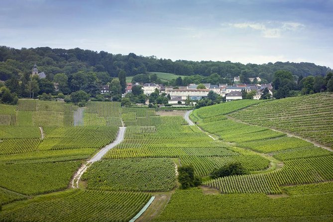 Champagne Region Private Day Trip from Paris - Key highlights