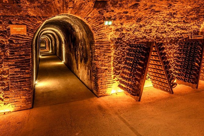 Champagne Small-Group Day Trip with Lunch and Tastings from Paris - Scenic Champagne-Ardenne and the Montagne de Reims viewpoint time