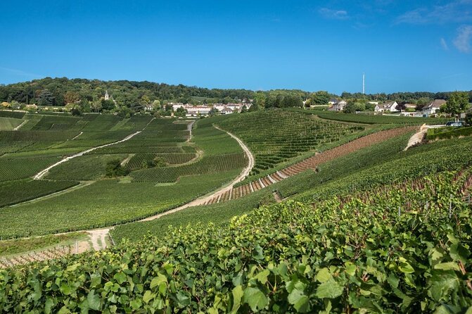 Champagne Tasting Tour Day Trip From Paris - A One-Day Champagne Reset from Paris