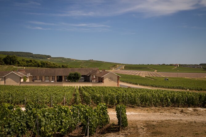 Champagne Tasting Tour Day Trip From Paris - Villers-sous-Chatillon Small Producer Tour: Where the Detail Lives