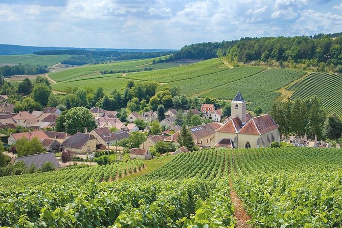 Champagne Tour - Lunch Is the One Missing Piece, So Plan Your Budget