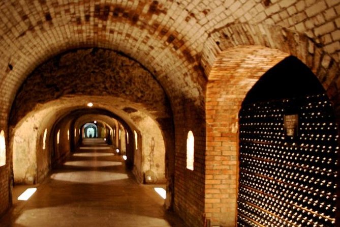 Champagne VIP Day Trip from Paris With Local PRIVATE Wine Expert Guide - Why this Champagne VIP day trip feels more than a checklist