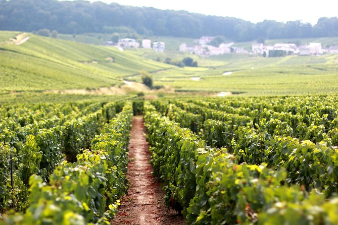 Champagne VIP Day Trip from Paris With Local PRIVATE Wine Expert Guide - Getting out of Paris fast: first-class train plus a real plan