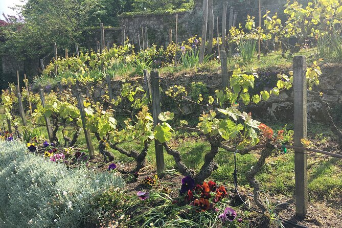 Clos Montmartre 'Paris in your Glass' Wine Tasting - Commanderie du Clos-Montmartre, one of Paris’s wine fraternities