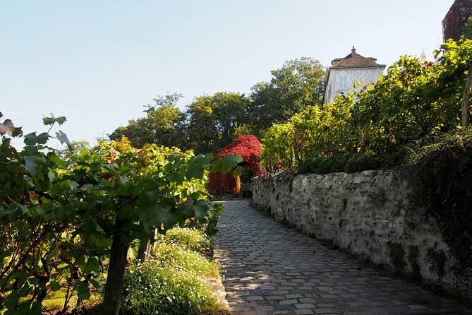 Clos Montmartre 'Paris in your Glass' Wine Tasting - The Clos Montmartre vineyard story, told where you can see it