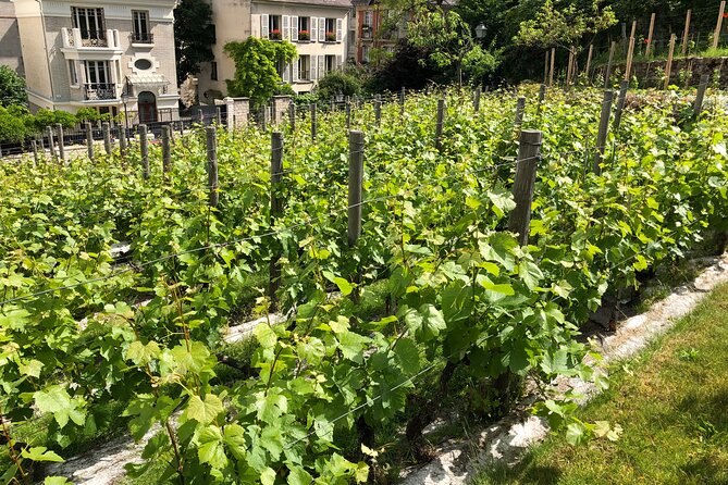Clos Montmartre 'Paris in your Glass' Wine Tasting - Place du Tertre tasting, rare wine plus a blind white-and-red test