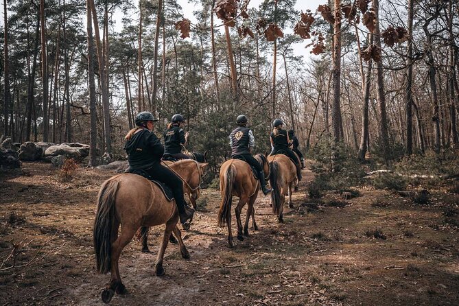 Day Trip to Fontainebleau : Horse Riding, Gastronomy and Castle - Gastronomy with wine: when lunch is more than a break