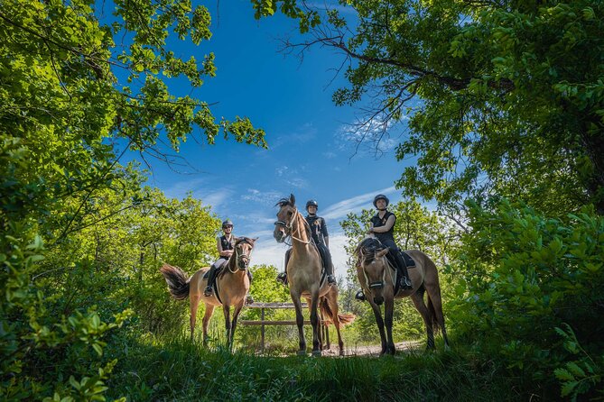 Day Trip to Fontainebleau : Horse Riding, Gastronomy and Castle - Breakfast pastries and a planned start in the right direction