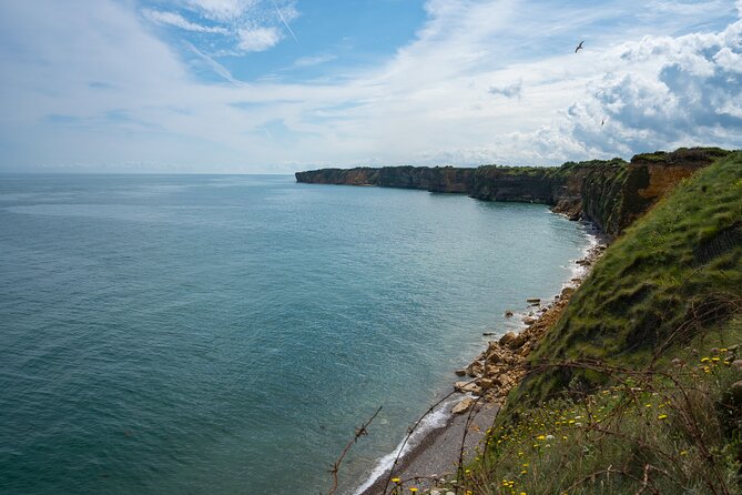 DDay Beaches Private Tour in Normandy from your Hotel in Paris - Who This Normandy D-Day Private Tour Suits Best
