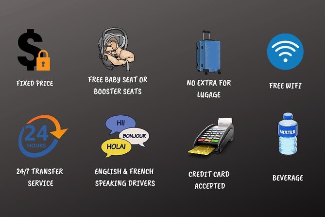 Direct transfer from CDG Airport to Paris - and vice versa - Inside the Vehicle: Air-Conditioning, WiFi, and Charging