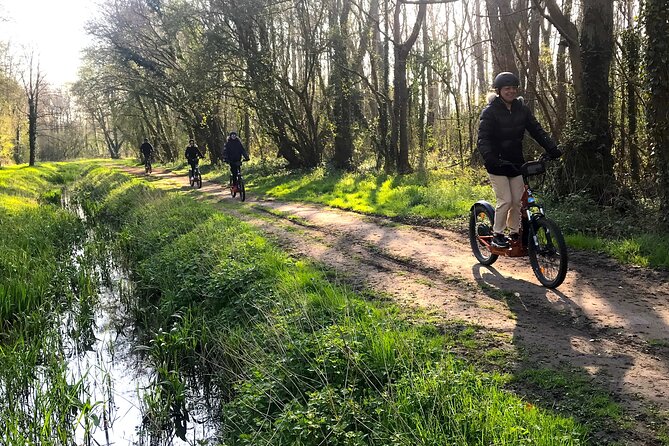 Discover Versailles on electric 2-wheelers (Yes to PRM) - Quartier des Antiquaires, the Royal Tennis Court, and street-level Versailles