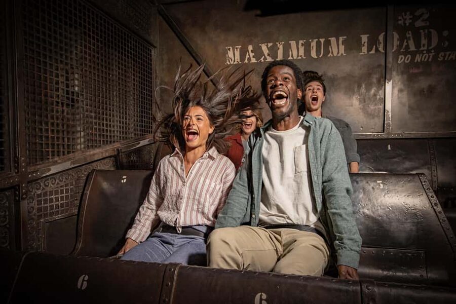 Disneyland® Paris 1-Day Flexible Date Ticket - Entry and tickets: mobile scanning, ID checks, and name matching