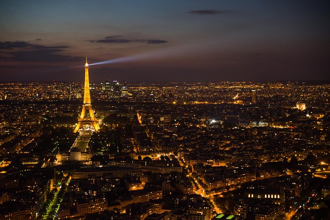 Eiffel Tower and City Tour by Bus with Seine River Cruise Option - Price and value for $100.14 per person