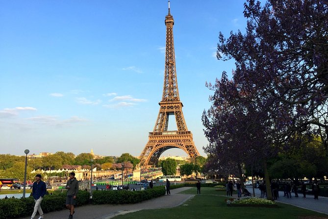 Eiffel Tower Elevator Tour with Optional Summit & Cruise Access - What Can Go Wrong: Crowds, Rain, and Pickpockets
