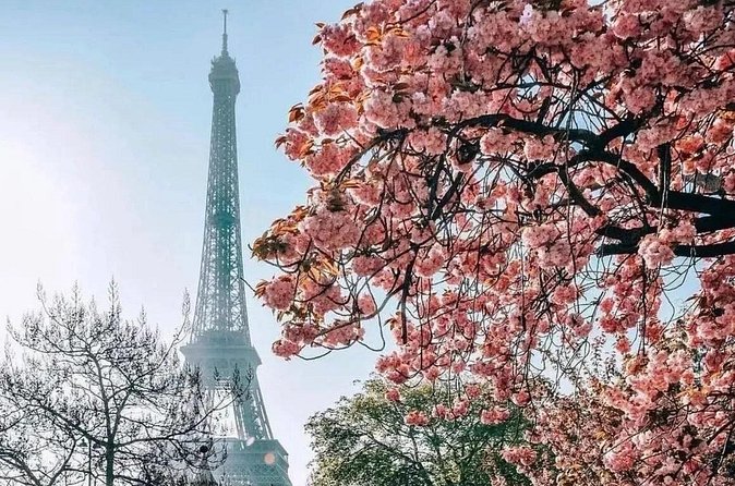 Eiffel Tower Guided Access up to the 2nd Floor or Summit by Lift - Crowds, Elevator Waits, and the Reality Check