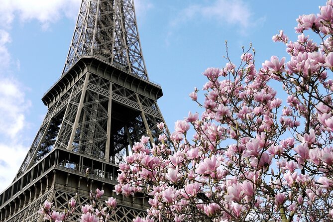 Eiffel Tower Summit Semi-Private Guided Tour - Summit views you can actually interpret