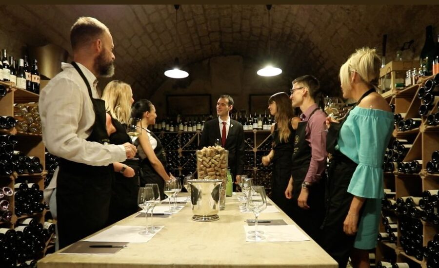 Exclusive Wine Day Trip Loire Valley from Paris - Key Highlights You Should Know Before You Go