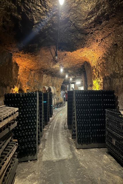 Exclusive Wine Day Trip Loire Valley from Paris - Château de Chenonceau: A First Castle Visit With Guided Context