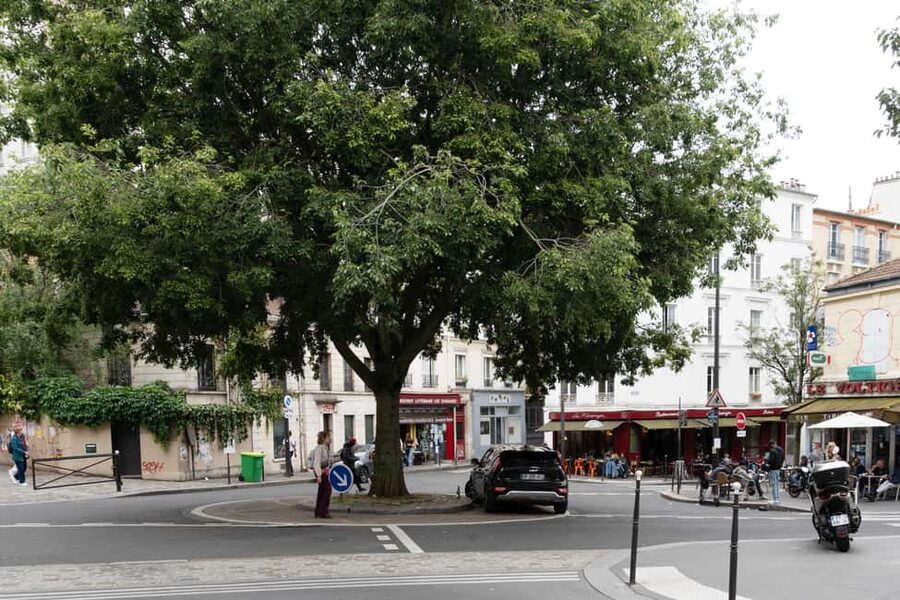 Exploring Belleville: Parisian Culture&Creativity in Motion - A Paris View From Belleville, Eiffel Tower Included